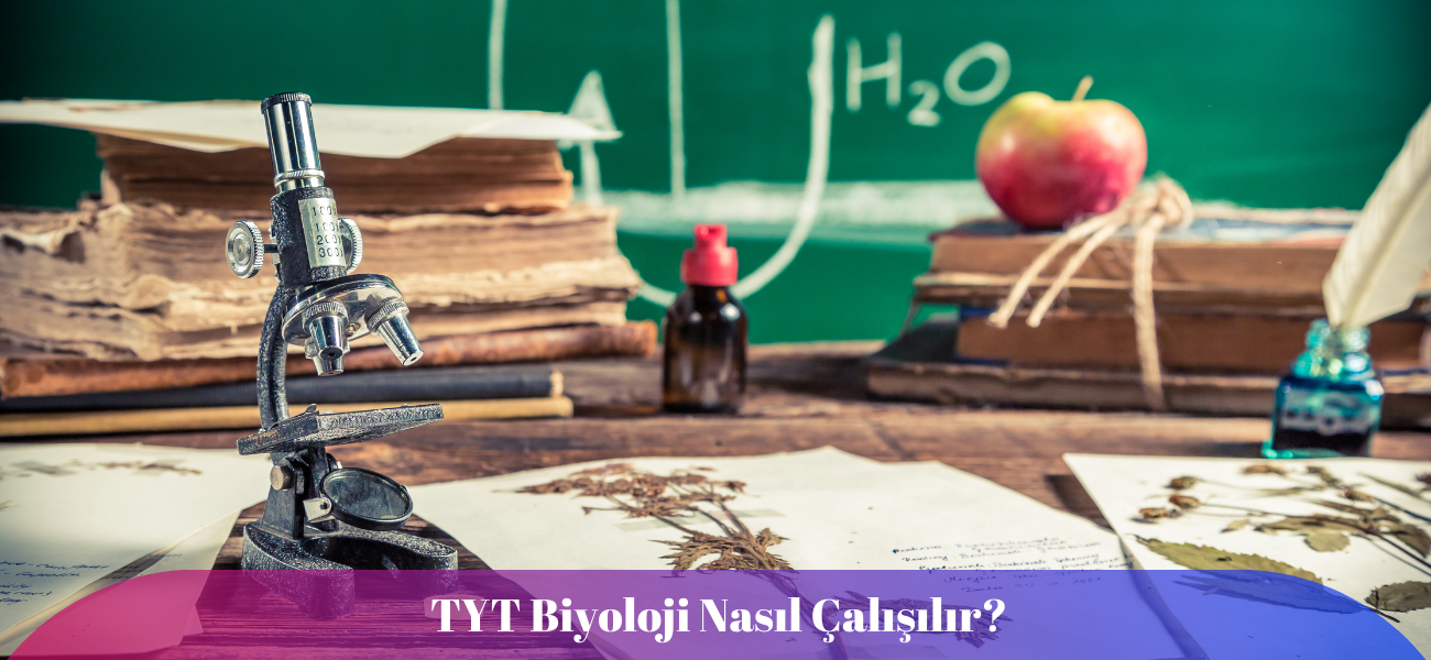 TYT Biyoloji Nasıl Çalışılır?